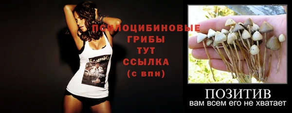 тгк Аркадак