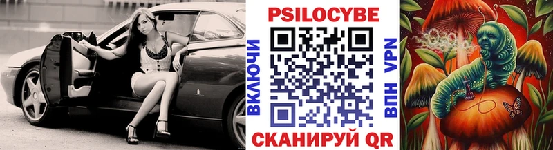 Галлюциногенные грибы прущие грибы  Суздаль 